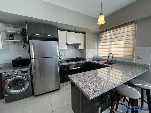 apartamentos - Apartamento en Alquiler en Piantini Amueblado de U 16