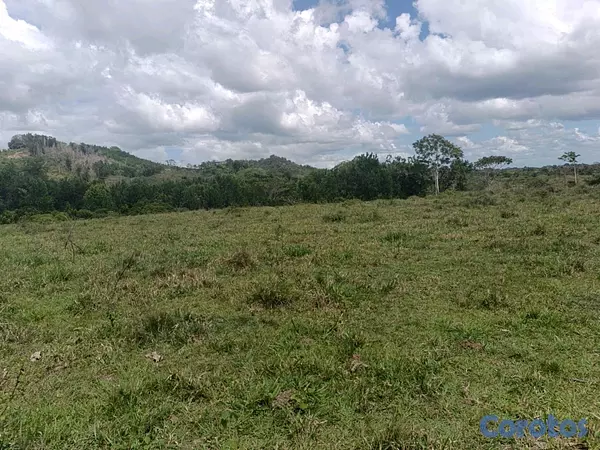 solares y terrenos - finca de 182 tareas en Monte Plata  4