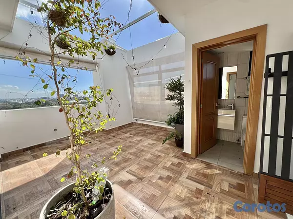 apartamentos - Penthouse tipo loft amueblado en alquiler en Naco 14