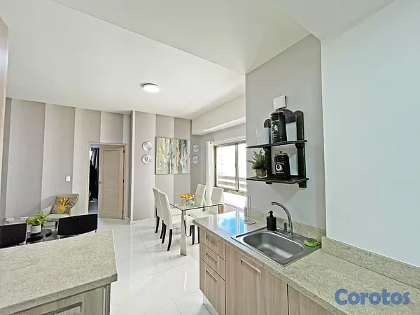 apartamentos - Apartamento en Alquiler en Piantini Amueblado de U 11