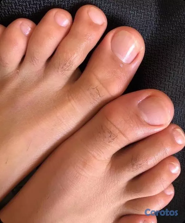 servicios profesionales - hago uñas acrílicas a domicilio pedicura manicura  6