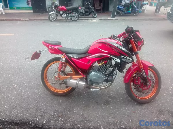motores y pasolas - Super gato 300cc racing full accesorios  3