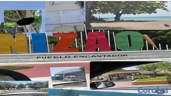 solares y terrenos - Terreno en venta – Nizao / Don Gregorio, Baní 3