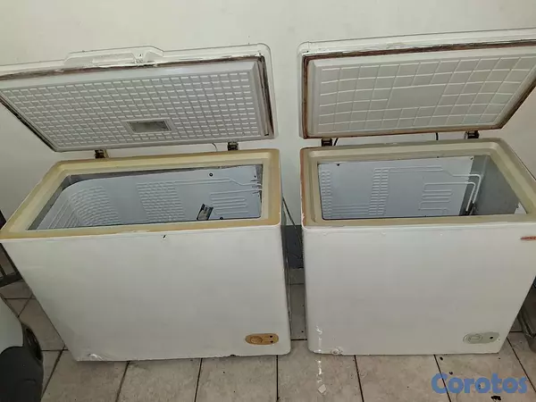 equipos profesionales - Venta de dos Freezer  4