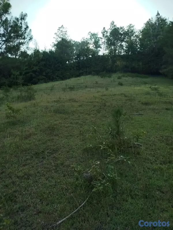 solares y terrenos - Solar en venta, en las Auyamas Constanza. con una vista espectacular! 3