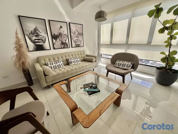apartamentos - Penthouse tipo loft amueblado en alquiler en Naco 12