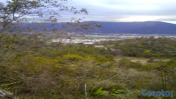 solares y terrenos - VENDO HERMOSO TERRENO CON UNA VISTA ESPECTACULAR!! - EN EL PINAR CONSTANZA. RD!! 3