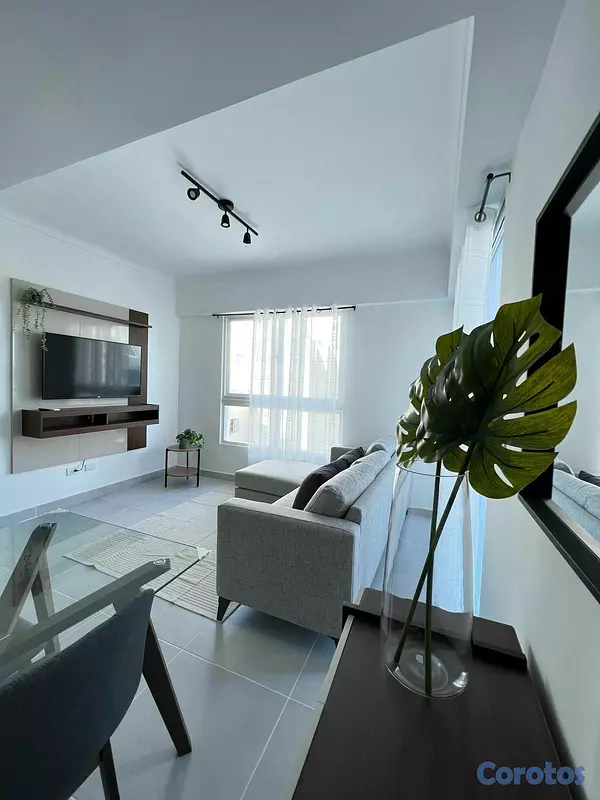 apartamentos - Alquiler de Apartamento en La Esperilla 2