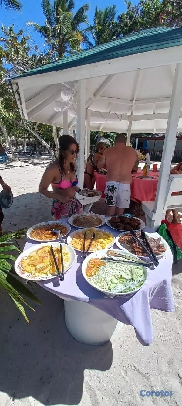 servicios profesionales - 🌊🛥️Tour Para la Isla Saona , parque Nacional cotubanamá.  9