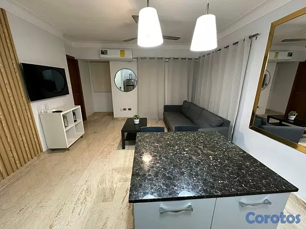 apartamentos - Alquilo apartamento Amueblado en Ensanche Naco  2