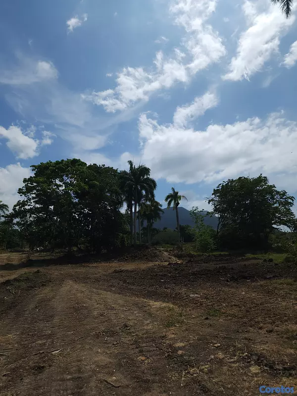 solares y terrenos - 🌿 Terrenos en Venta – Muñoz, Puerto Plata 📍 3