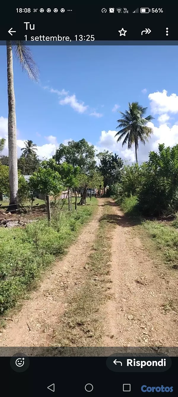 casas - Casa vacacional con terreno y limones  Bayaguana 4