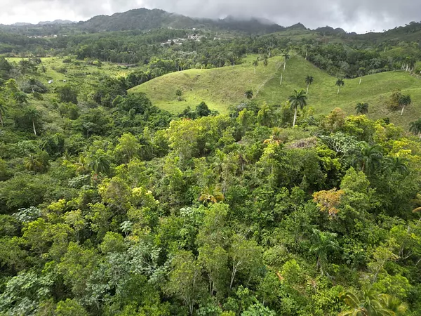 solares y terrenos - TERRENO EN VENTA, LAS GUAZARAS TERRENAS. 2