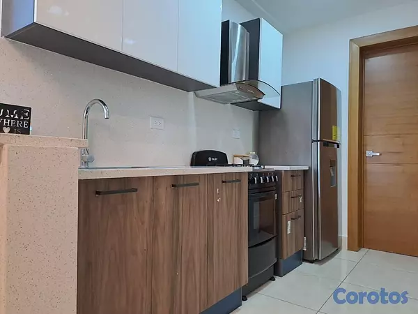 apartamentos - Alquiler de apartamento amueblado en Renacimiento 5