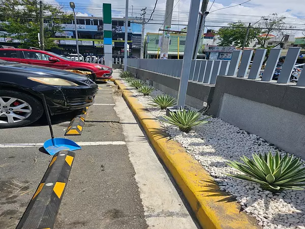 servicios profesionales - Servicios de jardineria 3