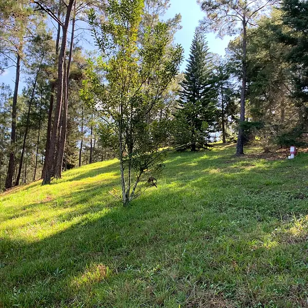 solares y terrenos - Terreno Disponible en Monte Bonito, Jarabacoa  2