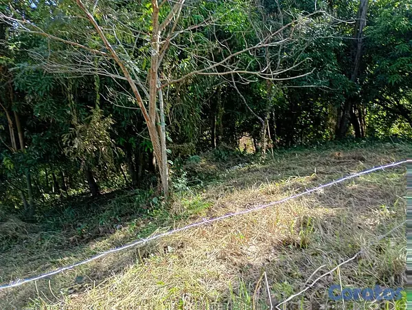 solares y terrenos - VENDO Terreno en el vacacional Matua 3