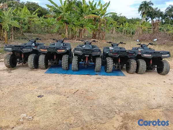 motores y pasolas - Motores 4 wheels Loncin en venta precio Negociable 2