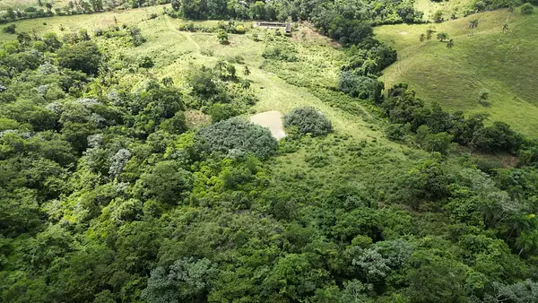solares y terrenos - TERRENO EN VENTA, LAS GUAZARAS TERRENAS. 3