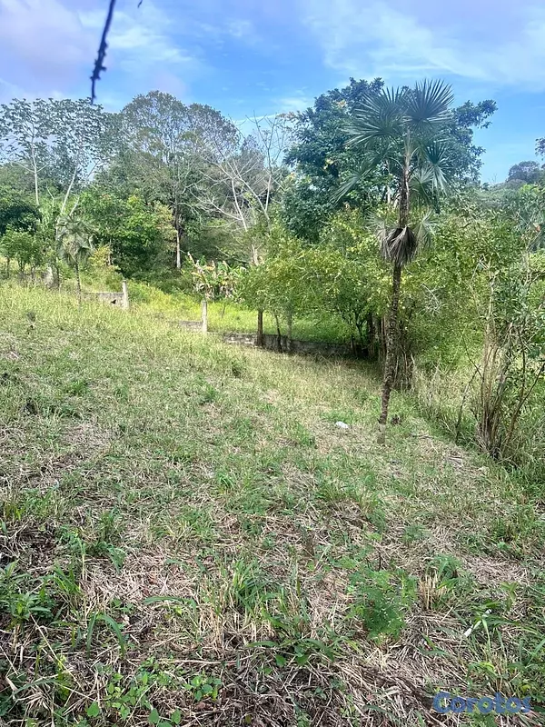 solares y terrenos - Terreno ( Finquita) 700 metros ubicado en bajos de Haina , sector el carril . 4