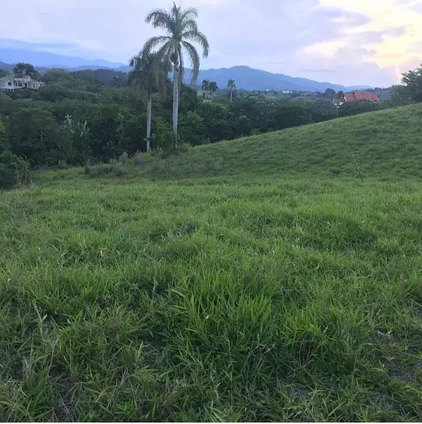 solares y terrenos - terreno en jarabacoa  2