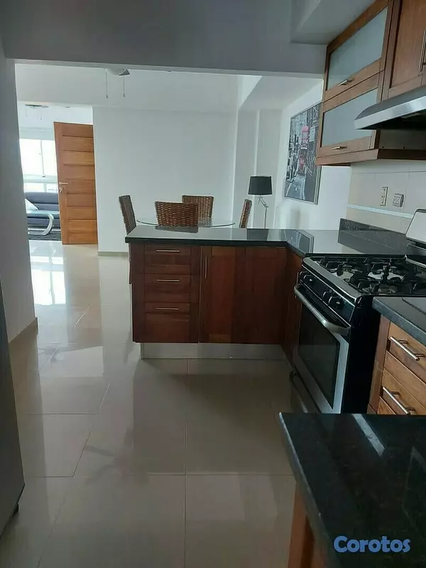 apartamentos -  APARTAMENTO 1 Habitacion  AMUEBLADO EN  PIANTINI 4