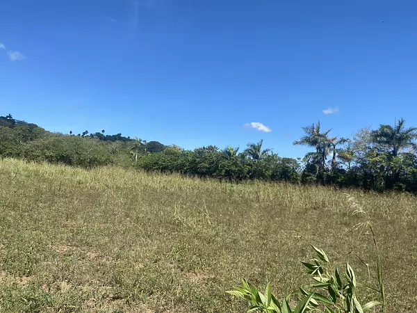 solares y terrenos - finca de 20 tareas en la piragua imbert  2