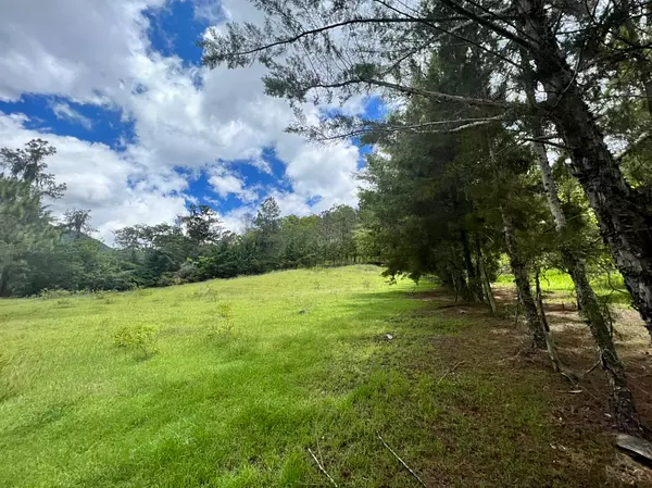 solares y terrenos - Vendo en Constanza varios terrenos 3