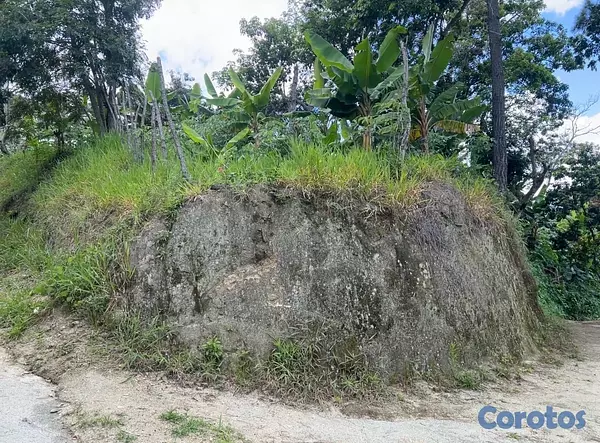 solares y terrenos - TERRENO EN VENTA – JAMAMÚ, SAN JOSE DE LAS MATAS 2