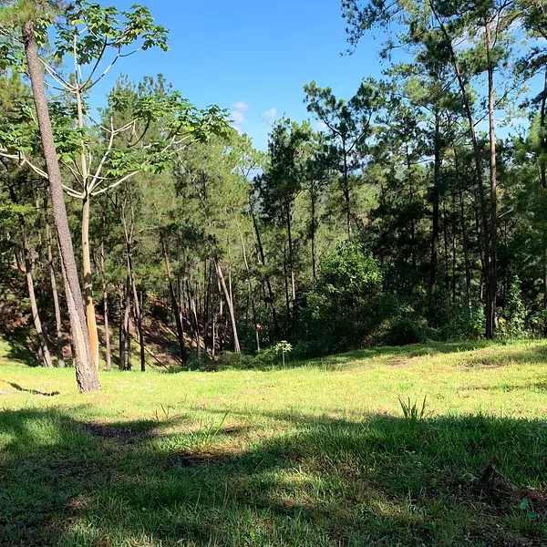 solares y terrenos - Terreno Disponible en Monte Bonito, Jarabacoa  6