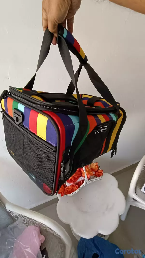 animales y mascotas - bolso transportador colorido para mascotas pequeña 5