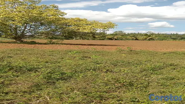 solares y terrenos - Terreno en venta en Rancho Los Mogotes 1