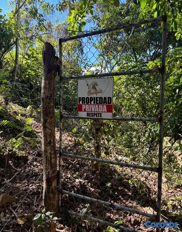 solares y terrenos - Finca en Venta Rancho Arriba  2