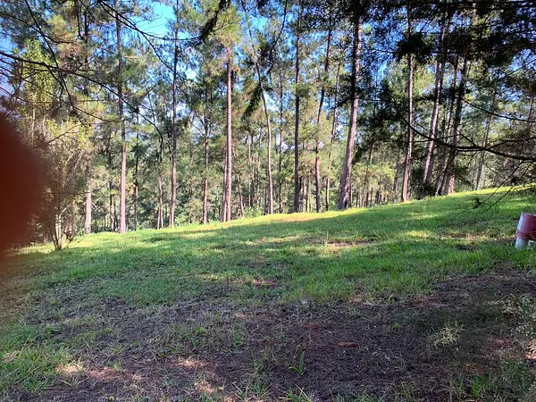 solares y terrenos - Terreno Disponible en Monte Bonito, Jarabacoa  3