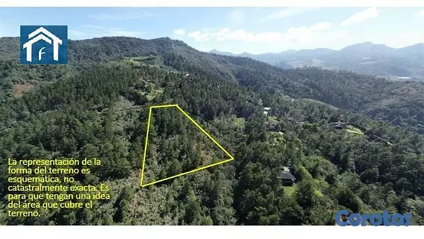 solares y terrenos - Solar en Constanza Rancho Guaraguao de 10591 metros 2