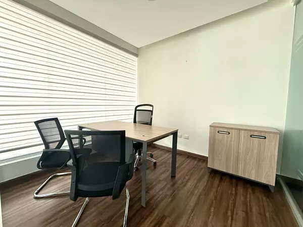 oficinas y locales comerciales - Oficina amoblada en Bella vista  3