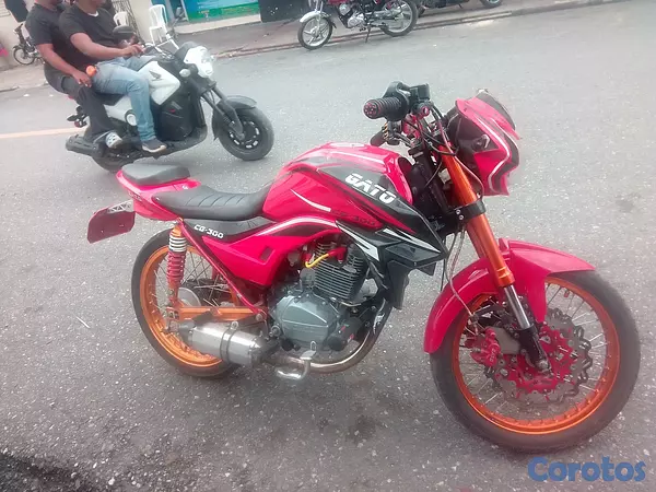 motores y pasolas - Super gato 300cc racing full accesorios  4