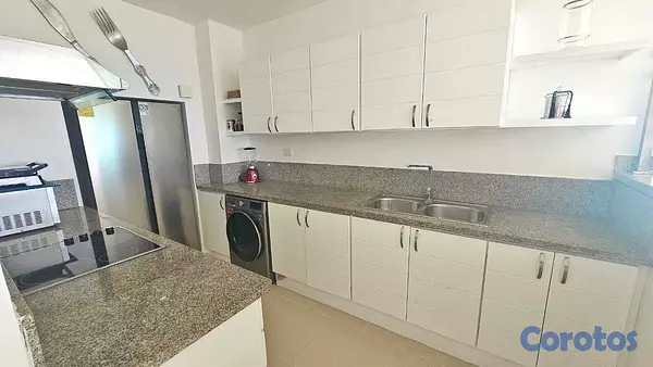 apartamentos - Apartamento en Alquiler amueblado en el Malecon 5