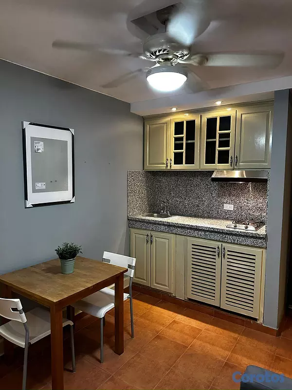 apartamentos - Apartamento amueblado en gazcue  7