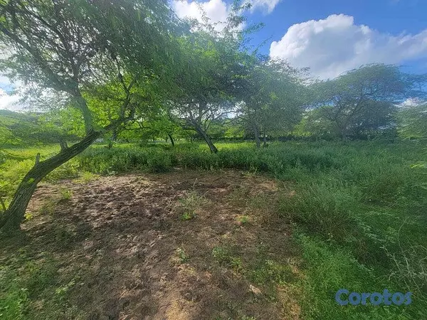 solares y terrenos - Terreno en venta en Puerto Plata 3