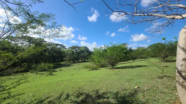 solares y terrenos - Terrenos en Venta, Quisqueya 8