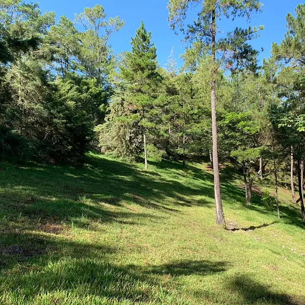 solares y terrenos - Terreno Disponible en Monte Bonito, Jarabacoa  4