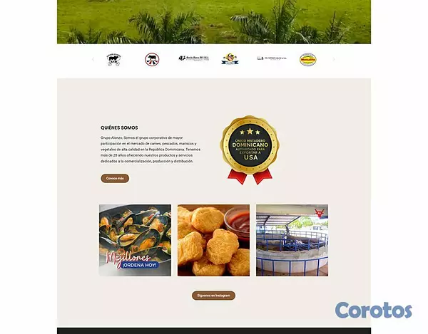 servicios profesionales - Diseñare la pagina web para tu negocio 5