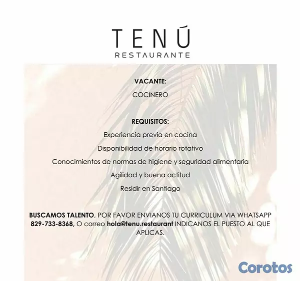 empleos disponibles - VACANTE COCINERO SANTIAGO