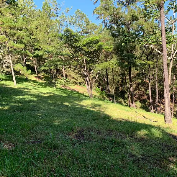 solares y terrenos - Terreno Disponible en Monte Bonito, Jarabacoa  5