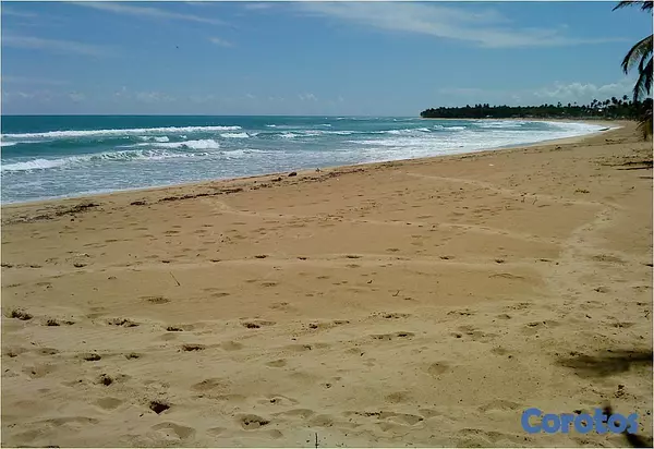solares y terrenos - Gran Solar de Playa Uvero Alto con documentos  4