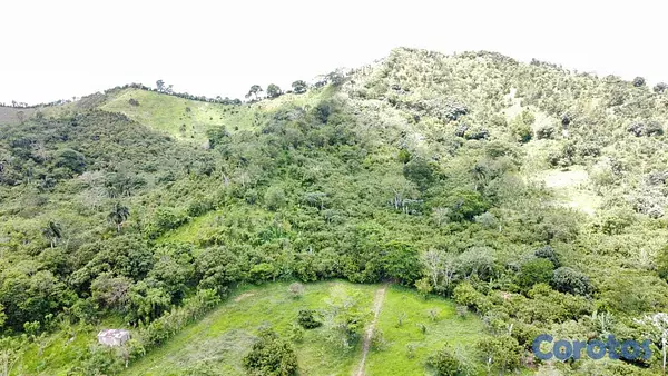 solares y terrenos - Finca productiva en venta en Las Cuchillas, El Seibo 3