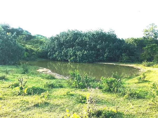 solares y terrenos - TERRENO EN VENTA, LAS GUAZARAS TERRENAS. 6