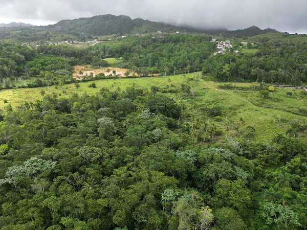 solares y terrenos - TERRENO EN VENTA, LAS GUAZARAS TERRENAS. 7