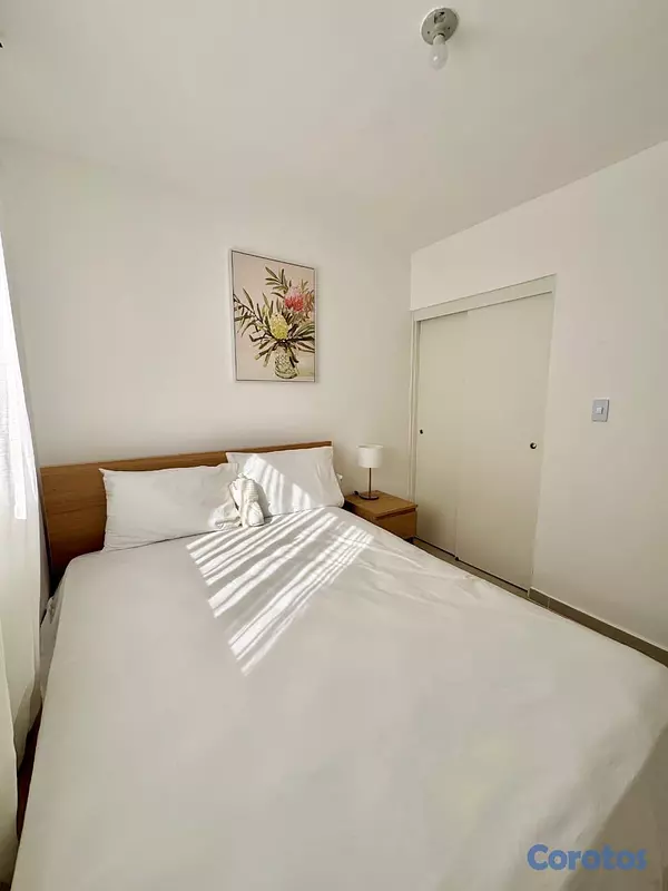 apartamentos - COMODOS APARTAMENTOS  6